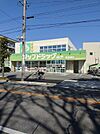 Zipドラッグ白沢権現通 299m