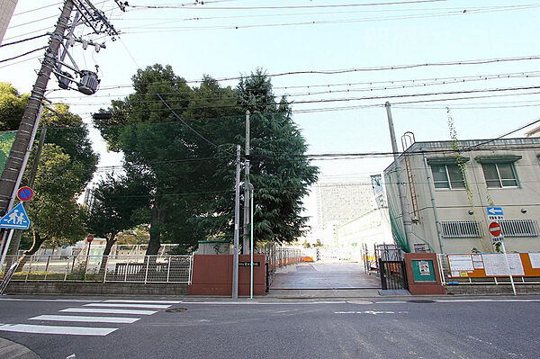 画像25:冨士中学校 590m
