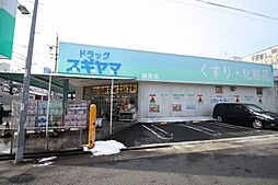 ドラッグスギヤマ城西店 127m