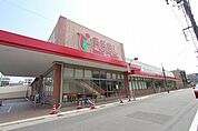 フィール花の木店 758m
