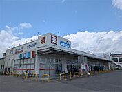 ウエルシア大津堅田店（702m）