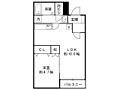 ホワイトピアニーイースト4階6.2万円