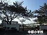 周辺：平塚市立中原小学校 徒歩8分。 610m