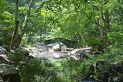 【公園】有栖川宮記念公園まで1013ｍ