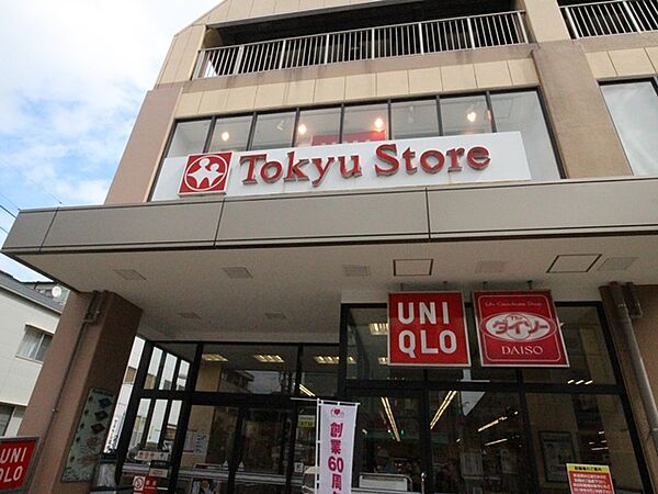 画像21:【スーパー】Tokyu Store(トウキュウ ストア) 上池台まで669ｍ