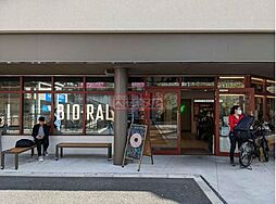 ライフビオラル下北沢駅前店 徒歩7分。 540m
