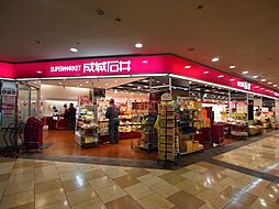 成城石井幡ヶ谷店 徒歩7分。 540m