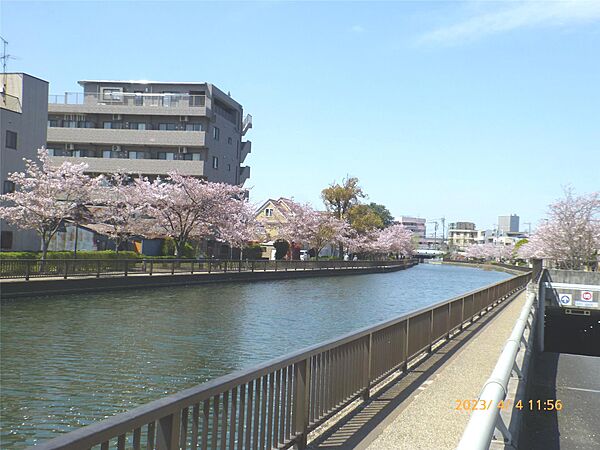 アベニュ－ 106｜東京都江戸川区船堀3丁目(賃貸アパート1R・1階・19.00㎡)の写真 その4