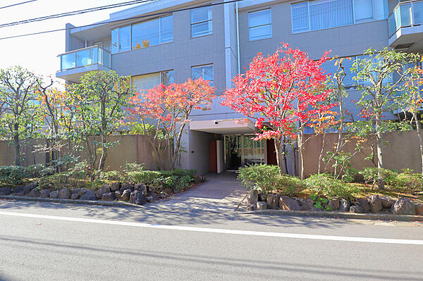 グランドメゾン深沢
