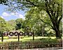 周辺：武蔵野公園　徒歩4分・お子様と手を繋いで歩いて行くのにちょうど良い距離です。