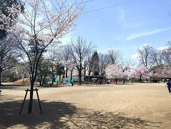 周辺を拡大表示