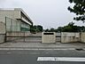 周辺：青梅市立河辺小学校まで（480m）