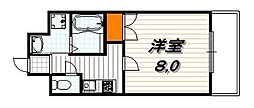 ティムール九条 5階