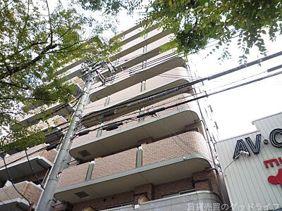 外観 外観