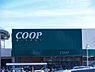 周辺：【スーパー】COOP MIYAGI(コープ ミヤギ) みやぎ生協 榴岡店まで255ｍ