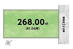 整形地/敷地81坪超/飯能市永田 土地