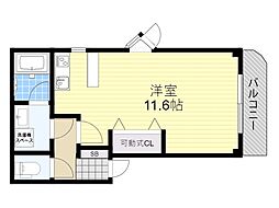 光コート