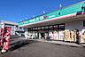 周辺：ドラッグセイムス東飯能店 徒歩11分。 810m