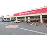 周辺：スーパーバリュー ロピア飯能店 徒歩18分。 1370m