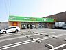 周辺：ドラッグ・エース小谷田店 徒歩11分。 810m