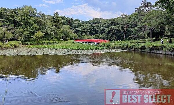 周辺を拡大表示