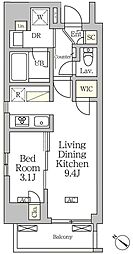 アジールコート松濤 11階1LDKの間取り