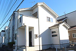 大芝