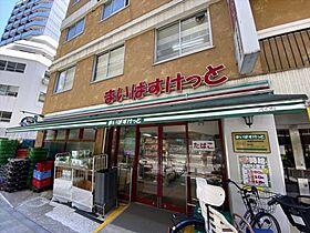 コスモ・ディエース 807 ｜ 東京都板橋区氷川町（賃貸マンション1K・8階・29.95㎡） その26