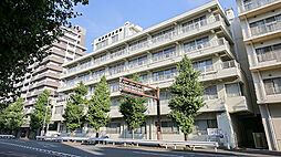 横浜掖済会病院（491m）