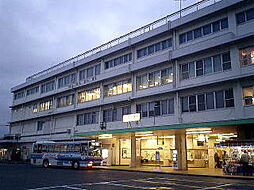 戸建　小田原市国府津