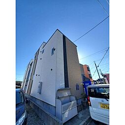 Globe amaranth 庄内通