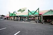 マックスストアー 300m