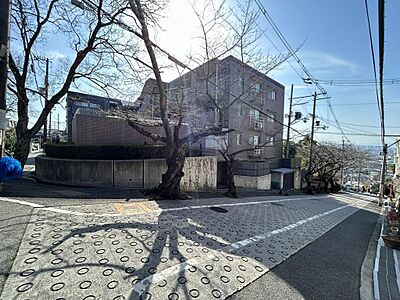 外観 外観