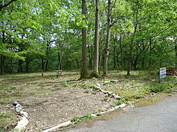 滋賀県高島市マキノ町新保の土地画像