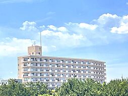 サンフラワー大原