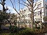 周辺：幼稚園、保育園「新小岩幼稚園まで460m」