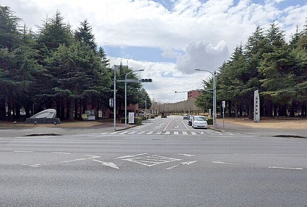 セジュール東 D202｜茨城県つくば市東2丁目(賃貸アパート3DK・2階・52.81㎡)の写真 その24