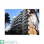 東京都西東京市西原町4丁目：物件画像／株式会社タウンハウジング東京　ひばりヶ丘店
