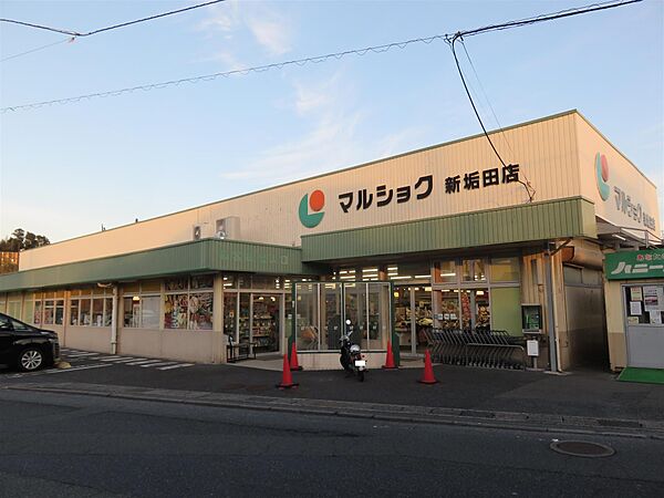 画像21:マルショク新垢田店(150m)