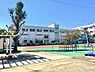 周辺：小学校「江戸川区立西小岩小学校まで496m」