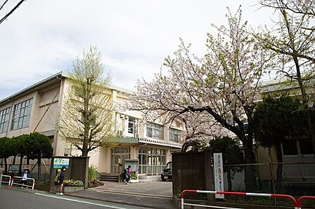 小学校「市川市立信篤小学校まで1800m」