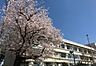 周辺：小学校「船橋市立八栄小学校まで500m」