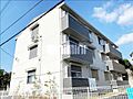 シャロット