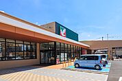 ヨークベニマルミライト一条店 509m