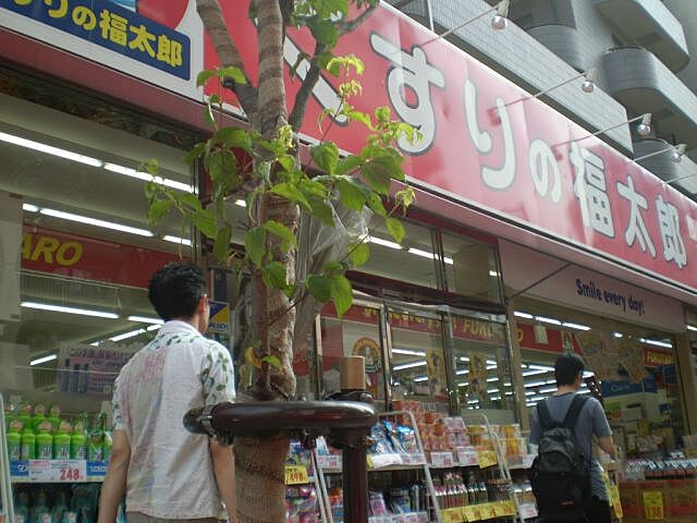 周辺