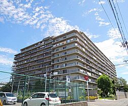 京都府京都市南区東九条西河辺町（賃貸マンション3LDK・6階・64.40㎡） その1