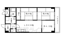 光和ビル松本 3階/305