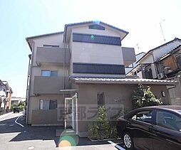 プリマヴェーラI 302