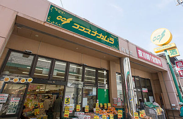 ドゥーエ町屋 ｜東京都荒川区町屋８丁目(賃貸マンション3LDK・1階・70.63㎡)の写真 その15