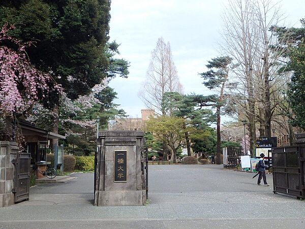 ポテトハウス Ｃ‐1｜東京都国立市西2丁目(賃貸アパート2DK・2階・39.70㎡)の写真 その28